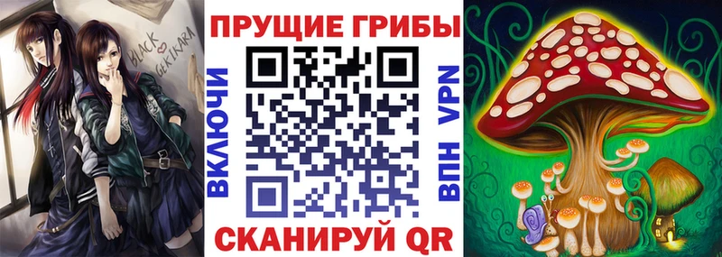 Галлюциногенные грибы Cubensis  kraken как войти  Луховицы 