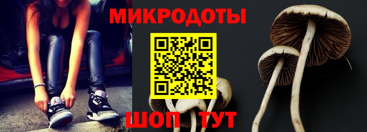 Луховицы  как найти   Вход с VPN  Псилоцибиновые грибы Magic Shrooms 