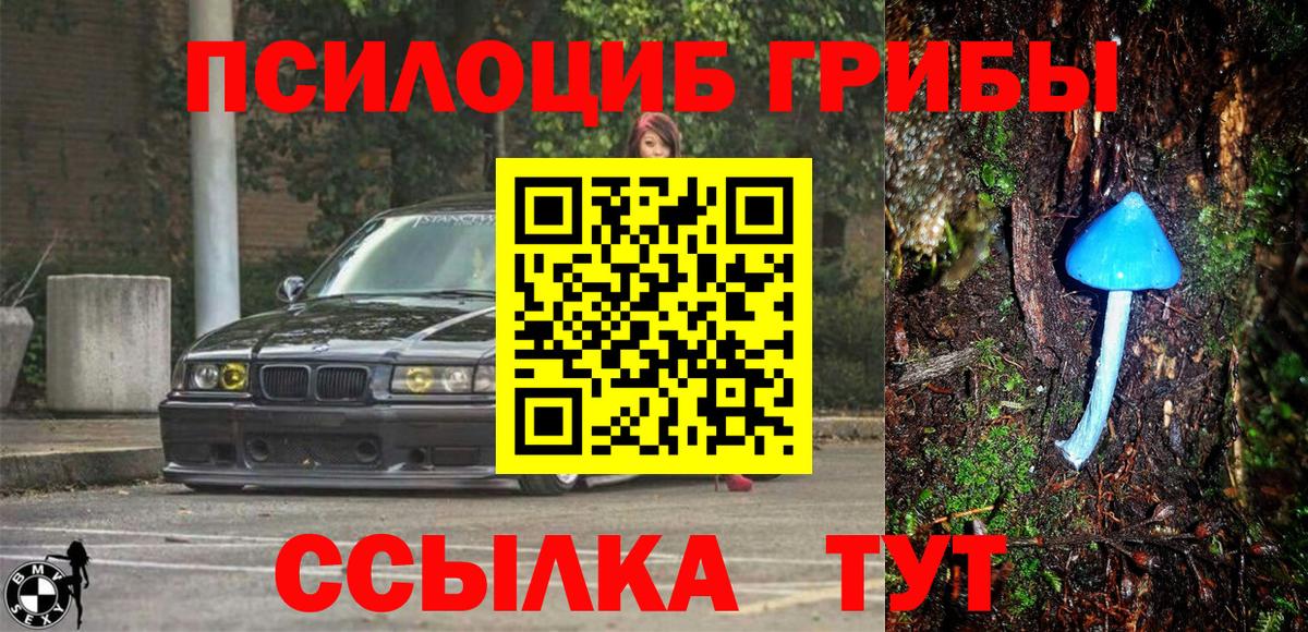 Псилоцибиновые грибы GOLDEN TEACHER Луховицы
