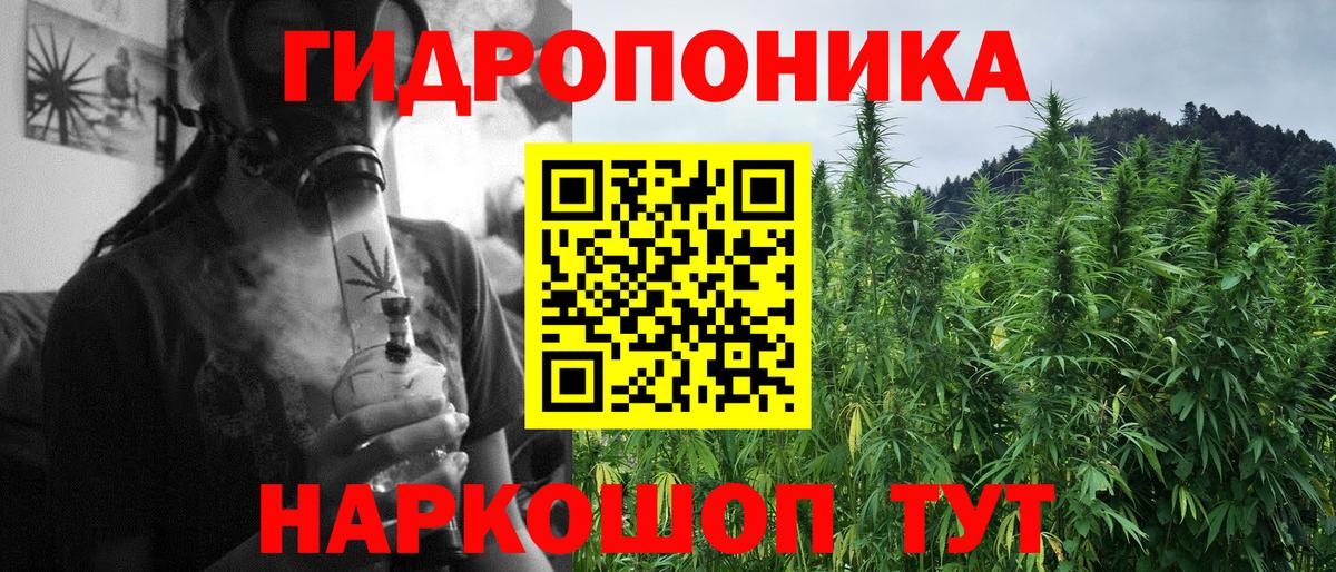 Шишки марихуана OG Kush Луховицы